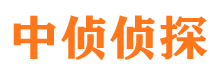 湖北侦探公司